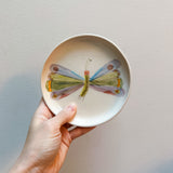 Very Hungry Caterpillar Plate Set (4)