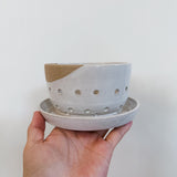 Berry Bowl w/ built-in plate