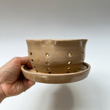 Apricot Berry Bowl w/ built-in plate