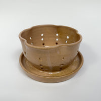 Apricot Berry Bowl w/ built-in plate