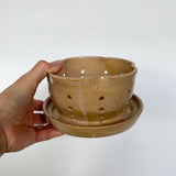 Apricot Berry Bowl w/ built-in plate