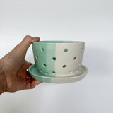 White & Mint Berry Bowl w/ built-in plate
