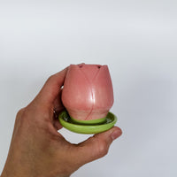 Prototype Sale: Tulip Matcha Whisk Holder 3