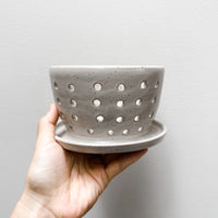 5" Matte White Speckled Berry Bowl w/ built-in plate