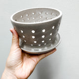 5" Matte White Speckled Berry Bowl w/ built-in plate