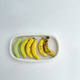 Mini Banana Life Cycle Art Piece