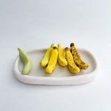 Mini Banana Life Cycle Art Piece
